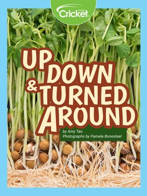 cover image of Up, Down and Turned Around